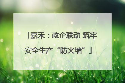 嘉禾：政企联动 筑牢安全生产“防火墙”