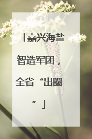 嘉兴海盐智造军团，全省“出圈”