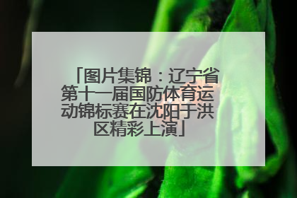 图片集锦：辽宁省第十一届国防体育运动锦标赛在沈阳于洪区精彩上演