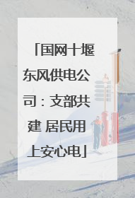 国网十堰东风供电公司：支部共建 居民用上安心电