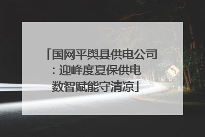 国网平舆县供电公司：迎峰度夏保供电  数智赋能守清凉