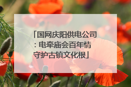 国网庆阳供电公司：电牵庙会百年情 守护古镇文化根