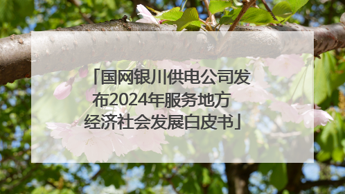 国网银川供电公司发布2024年服务地方经济社会发展白皮书