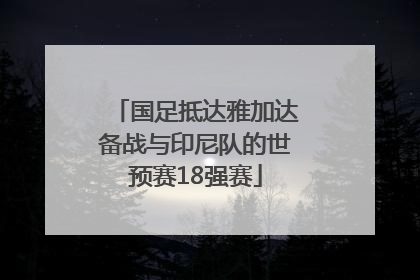 国足抵达雅加达备战与印尼队的世预赛18强赛
