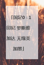 国足0∶1印尼 梦断雅加达 无缘美加墨