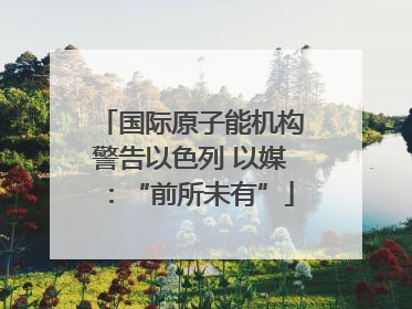 国际原子能机构警告以色列 以媒：“前所未有”
