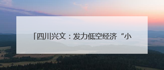 四川兴文：发力低空经济“小小机长”解锁文旅消费新场景