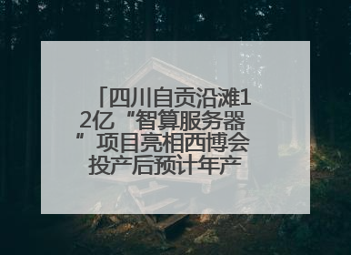 四川自贡沿滩12亿“智算服务器”项目亮相西博会 投产后预计年产值达15亿元