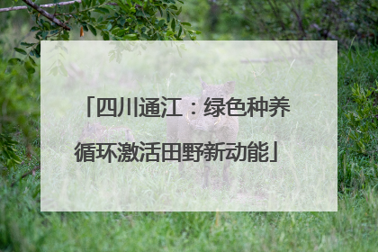 四川通江：绿色种养循环激活田野新动能