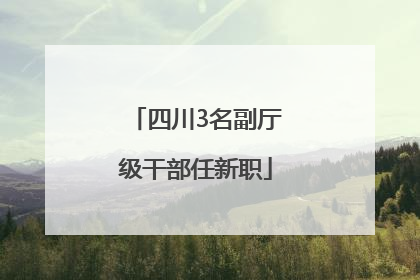 四川3名副厅级干部任新职