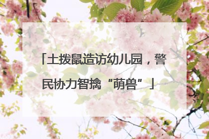 土拨鼠造访幼儿园，警民协力智擒“萌兽”