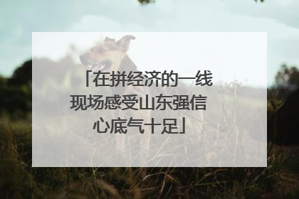 在拼经济的一线现场感受山东强信心底气十足