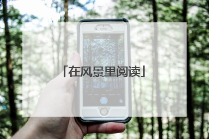 在风景里阅读