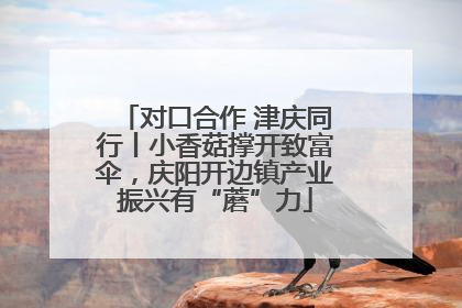 对口合作 津庆同行丨小香菇撑开致富伞，庆阳开边镇产业振兴有“蘑”力