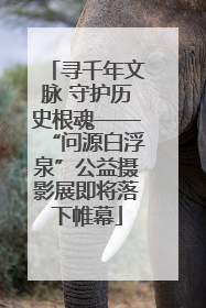 寻千年文脉 守护历史根魂——“问源白浮泉”公益摄影展即将落下帷幕