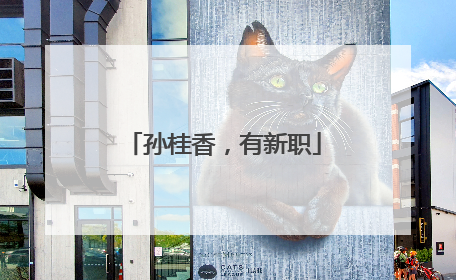 孙桂香，有新职