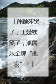 孙颖莎哭了，王楚钦笑了，潘展乐金牌“批发”！