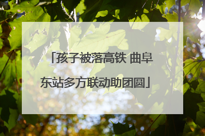 孩子被落高铁 曲阜东站多方联动助团圆