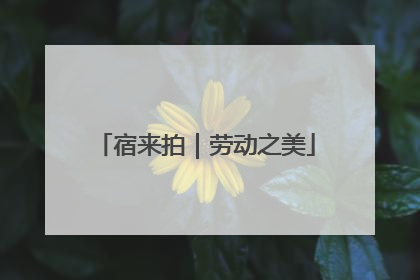 宿来拍｜劳动之美