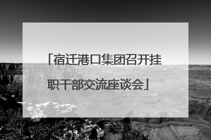 宿迁港口集团召开挂职干部交流座谈会