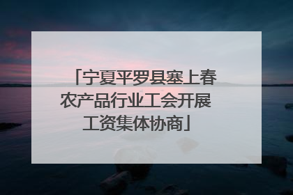 宁夏平罗县塞上春农产品行业工会开展工资集体协商