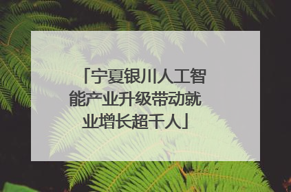 宁夏银川人工智能产业升级带动就业增长超千人