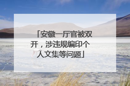 安徽一厅官被双开，涉违规编印个人文集等问题