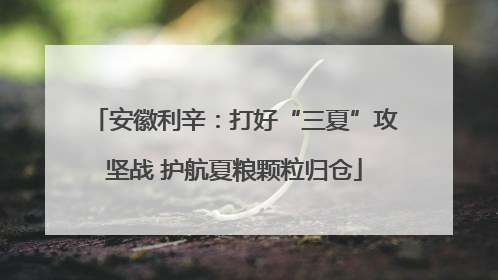 安徽利辛：打好“三夏”攻坚战 护航夏粮颗粒归仓