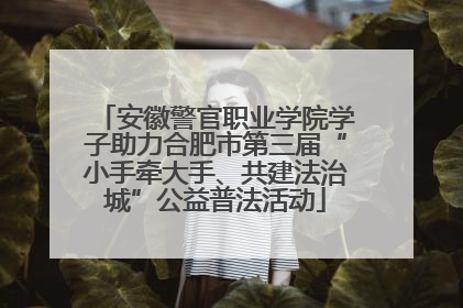 安徽警官职业学院学子助力合肥市第三届“小手牵大手、共建法治城”公益普法活动
