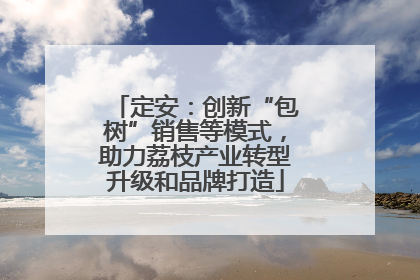 定安：创新“包树”销售等模式，助力荔枝产业转型升级和品牌打造