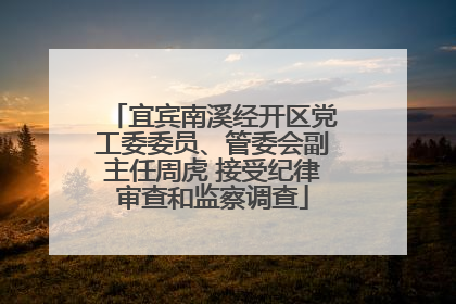 宜宾南溪经开区党工委委员、管委会副主任周虎 接受纪律审查和监察调查