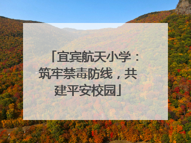 宜宾航天小学：筑牢禁毒防线，共建平安校园