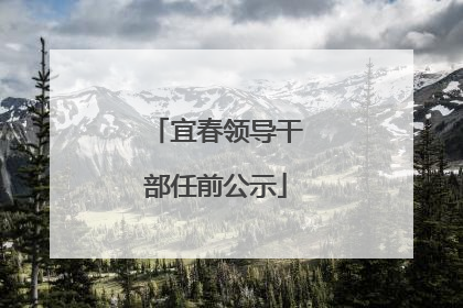 宜春领导干部任前公示