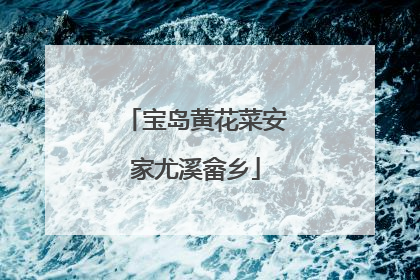 宝岛黄花菜安家尤溪畲乡