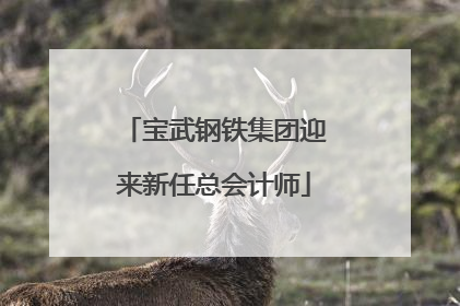 宝武钢铁集团迎来新任总会计师