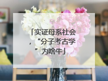 实证母系社会，“分子考古学”为啥牛