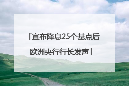 宣布降息25个基点后 欧洲央行行长发声