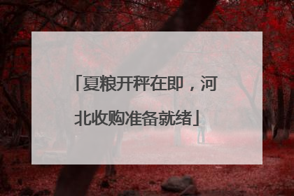 夏粮开秤在即，河北收购准备就绪