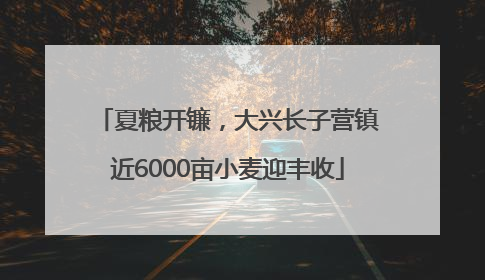 夏粮开镰，大兴长子营镇近6000亩小麦迎丰收