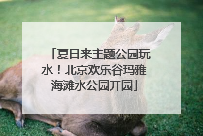 夏日来主题公园玩水！北京欢乐谷玛雅海滩水公园开园