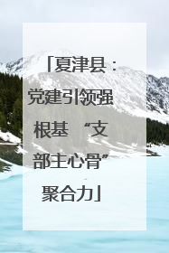 夏津县：党建引领强根基 “支部主心骨”聚合力