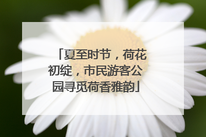 夏至时节，荷花初绽，市民游客公园寻觅荷香雅韵