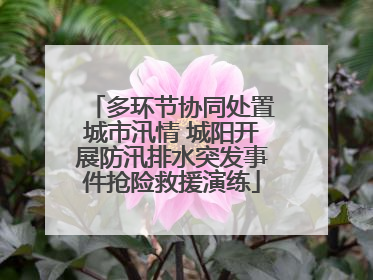 多环节协同处置城市汛情 城阳开展防汛排水突发事件抢险救援演练