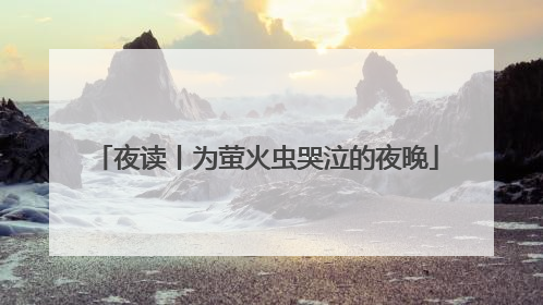 夜读丨为萤火虫哭泣的夜晚