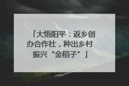大悟阳平：返乡创办合作社，种出乡村振兴“金稻子”