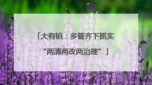 大有镇：多管齐下抓实“两清两改两治理”