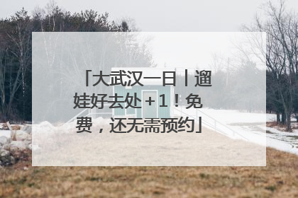 大武汉一日︱遛娃好去处＋1！免费，还无需预约