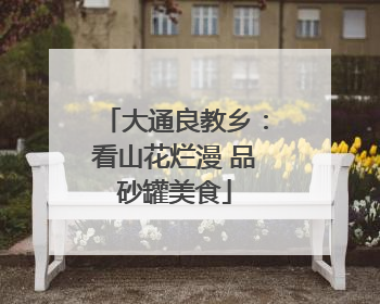 大通良教乡：看山花烂漫 品砂罐美食