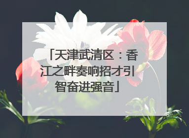 天津武清区：香江之畔奏响招才引智奋进强音