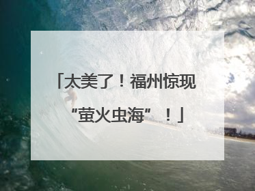 太美了！福州惊现“萤火虫海”！
